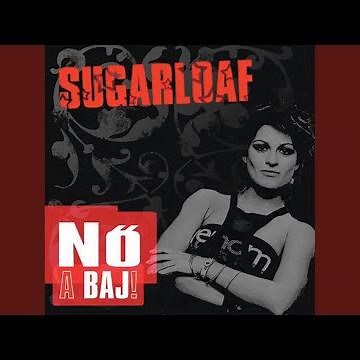 A Börtön Ablakában