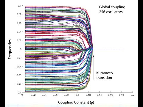 Network Synchronization Physics