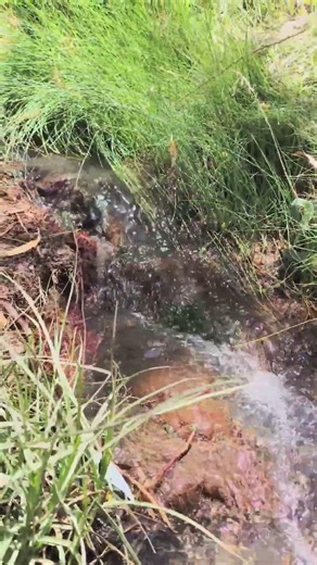 Hidden Spring Water | Relaxing Nature Sounds #shorts