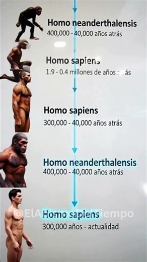 🐒La Evolución del Homo Sapiens