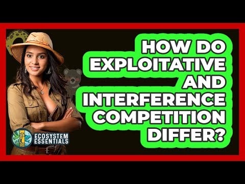 How Do Exploitative And Interference Competition Differ? - Ecosystem Essentials