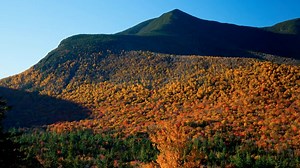 This is Autumnwatch 2018