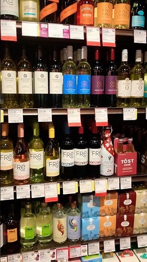 ABC Liquor Store Trip Tampa Florida 2025 🍹