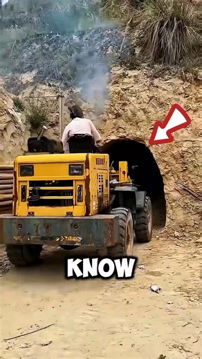 Why Indonesian Farmers Plant Cassava Only on the Edges 🌾Farmers in Indonesia plant cassava on the edges of their fields to protect crops from animals. It acts as a natural fence — and later, they even sell it for profit!#FarmingSecrets #Cassava #Indonesia #SmartFarming #ViralFacts #Agriculture #FarmLife | Satisfied workers