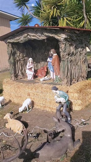 rammen (@strawberry82728)’s videos with sonido original - rammen