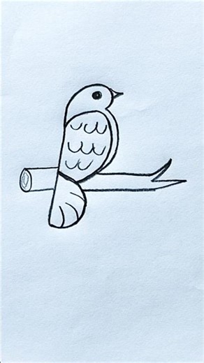 Bird Drawing | Easy Method to Draw a Bird | How to Draw a Cute sparrow | #shorts #viral #birds