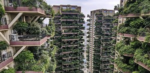 Green buildings can bring fresh air to design, but they can also bring pests