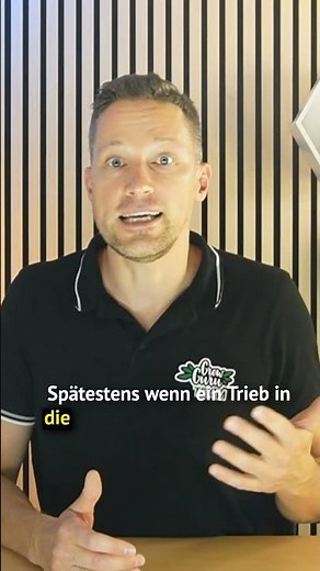 Was ist ein Scrog Netz ?! 🌿🌟