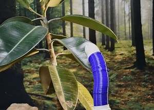 Novo robô-cobra imprime seu próprio corpo em 3D para explorar lugares inacessíveis; veja