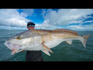 GIANT Redfish & Snook! Catch Clean Cook