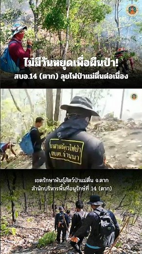 ​🔥 #ไฟป่า #เขตรักษาพันธุ์สัตว์ป่าแม่ตื่น #เซฟแม่ตื่น #ตาก #กรมอุทยานแห่งชาติ