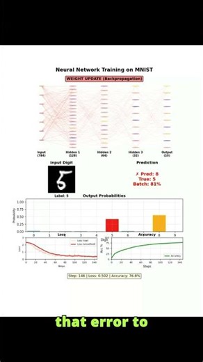 Inside a Neural Network During Training