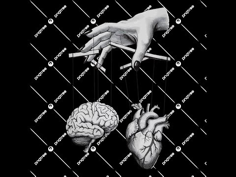 Intellect Is Instinct: Why Reason and Emotion Aren’t Opposites