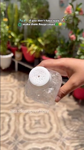 Watering plants from discarded plastic bottles #shorts