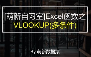 【萌新自习室】VLOOKUP多条件查询(多对一查询)