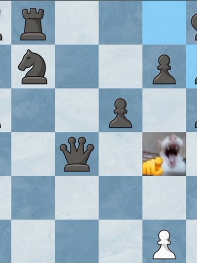Insane Windmill Checkmate in Chess