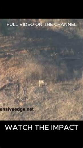 669-Yard Deer Shot Through the Scope #shorts #1000yards #longrangeshooting #precisionrifle