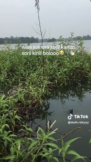 infoo infooo #mancing#mancingmania #xybca