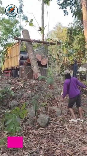 Smart Hack to Load a Giant Log Onto a Truck #lifehacks #WoodLoading