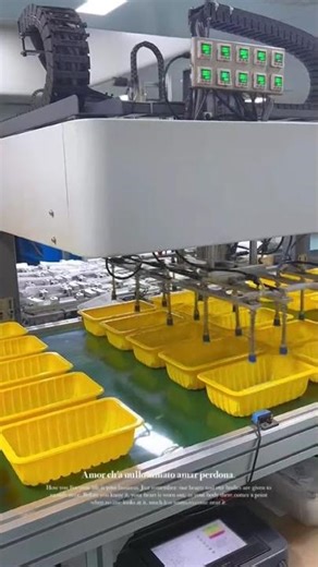 Advanced Food Packaging Production Line