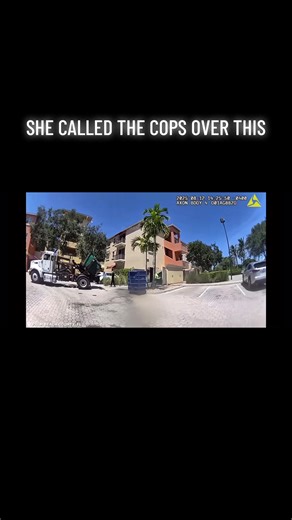 #trending #fyp #truck #arrested | truck