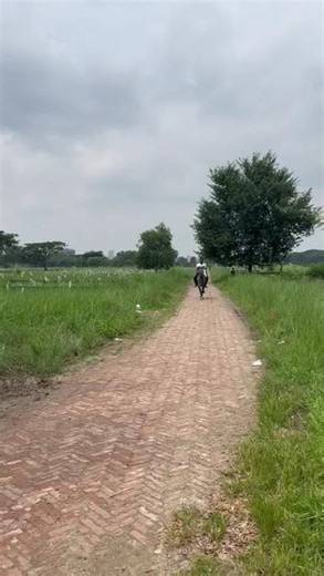 Bareback Gallop Through Nature 🌳🐎