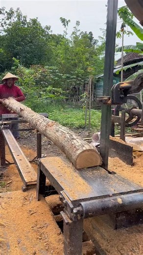 operator !! wood slicing skills with super sharp circular saw machine #serkelsaw #teak