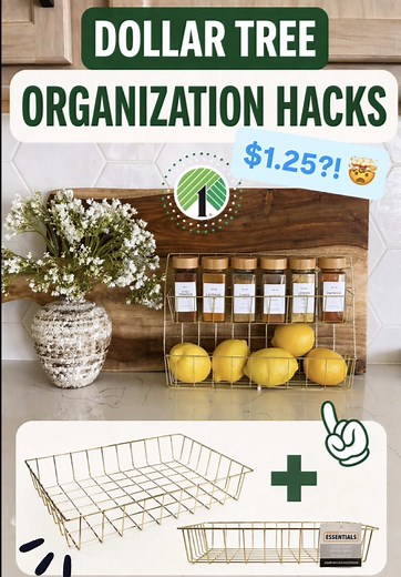 Dollar Tree Organization Products You'll Actually Use!