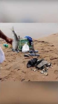 Bottle Fishing for Mullet: The Ingenious Way to Catch More Fish! #BottleFishing #MulletFishing