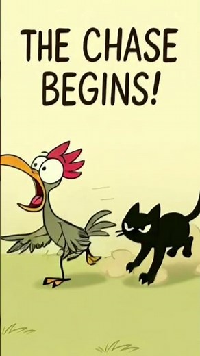 Crazy Rooster and cat fight! #animation #funnycartoon