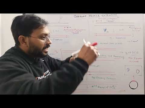 Site directed mutagenesis: overlap primer extension method