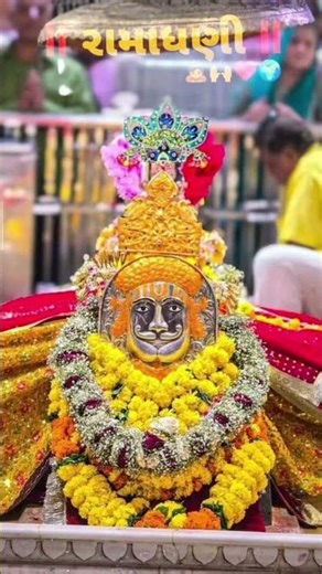 હો રોમાધણી નો થાય જો ઓડર પર થઈ જાય જો રાજેસ્થાનની બોડર #shortvideo #alightmotion #love #viralvideo