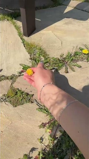 Yellow, spring time, solar plexus recharge 💛🥰