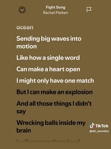 Fight Song by Rachel Platten - Full Lyrics and Karaoke