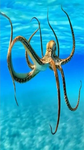 A Glowing Octopus Underwater 🌊🐙