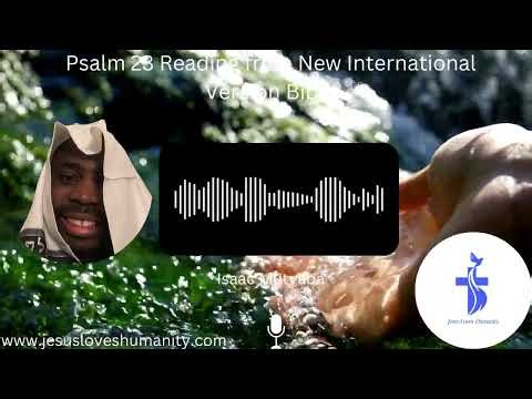 23 Reading from NIV Bible