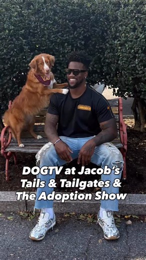 DOGTV was onsite supporting Jacob’s Tails & Tailgates, a donation drive event hosted by Washington Commanders player Jacob Martin @jacobsphotos_ to benefit the @humanerescue !🏈🐶 🎬 Go behind the scenes and stay tuned for this special episode of The Adoption Show, hosted by Amber @amberaquart, on Unleashed by DOGTV, presented by @PetSmartCharities 💛 #TheAdoptionShow #UnleashedByDOGTV #DOGTV #tvfordogs #PetParents #DogMom #DogDad #PetCommunity #PetWellness #RescueDogs #ForeverHome #PetSmartChar