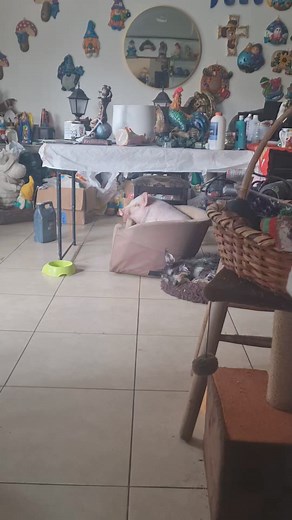 Bruno colors y nana los hermanos inseparables jaja | Chanchi Colors CR