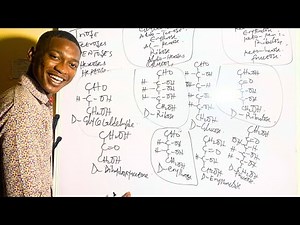 Aldose and Ketose Sugars // Biochemistry
