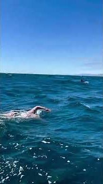 The Most Epic Open Water Swim Partners 😍