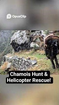Epic Chamois Hunt ⛰️ Treacherous Terrain & Hunter Rescue! #shorts #viral