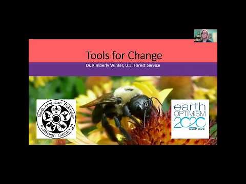 Collaborating to Solve a Crisis: The Story of the North American Pollinator Protection Campaign