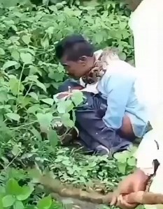 Man Constricted By Python Whilst Taking A Dump