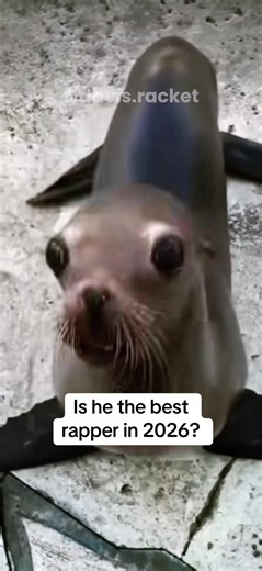 G Lion: The Sea Lion Rapper Making Waves