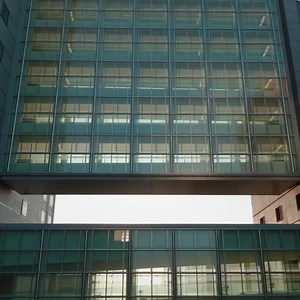 Every day, 40,000 specimens arrive at Mayo Clinic Laboratories, each representing a patient in search of answers. In this video series, discover the journey of a sample and the care it receives. https://bit.ly/4bM8rbG | Mayo Clinic Laboratories