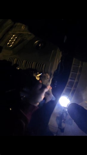 Four tiny orphaned kittens were heard screaming from inside of a cars undercarriage tonight, the mothers whereabouts are currently unknown. 🥹 | John Debacker