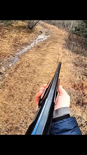 Close Range Rabbit Hunt | Fast & Clean Shot #rabbit #hunting