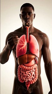 The Science of Nuts: Visualizing Protein Breakdown, Healthy Fats, and Mineral Uptake