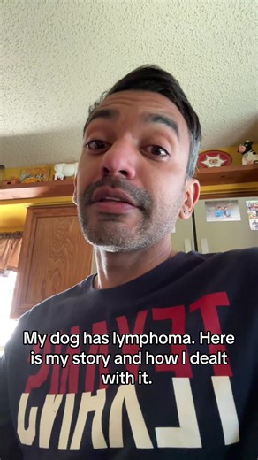 I hope this video will help all pet owners who are dealing with lymphoma. Here is my journey on how I handled it and why I chose the route that I did. If you have any questions then feel free to ask. #dogsoftiktok #lymphoma #doglymphoma #dog #dogcancer