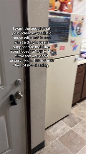 Realistic Dirty House Cleaning Challenge